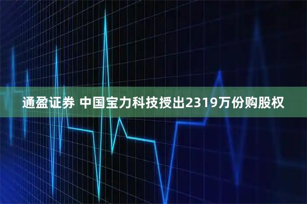 通盈证券 中国宝力科技授出2319万份购股权