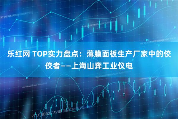 乐红网 TOP实力盘点：薄膜面板生产厂家中的佼佼者——上海山奔工业仪电